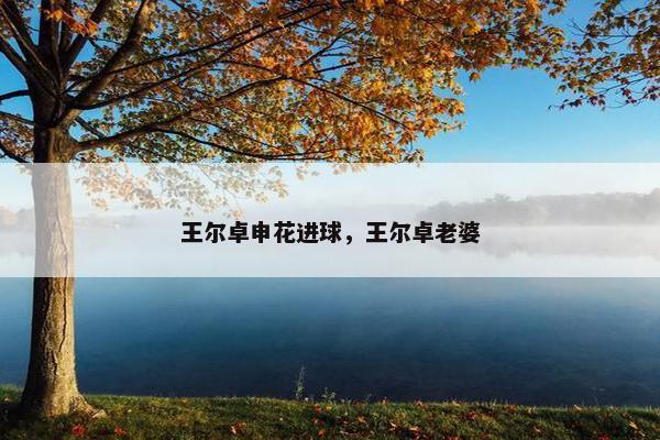 王尔卓申花进球，王尔卓老婆