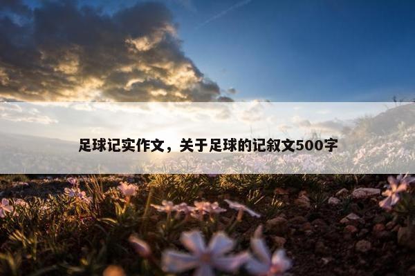 足球记实作文，关于足球的记叙文500字