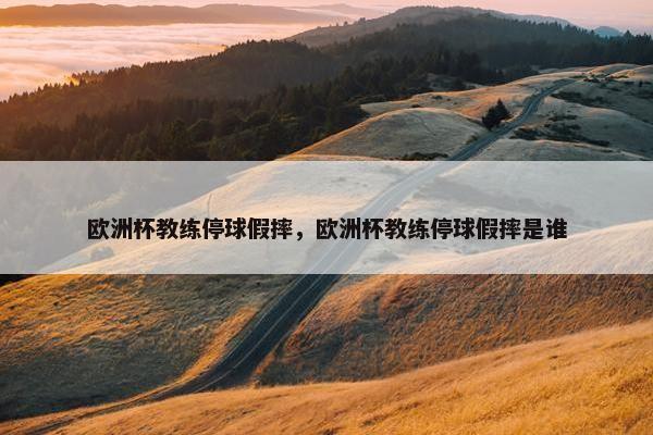 欧洲杯教练停球假摔，欧洲杯教练停球假摔是谁