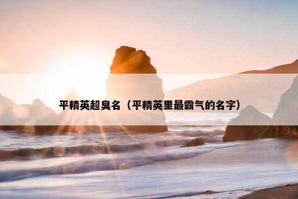 平精英超臭名（平精英里最霸气的名字）