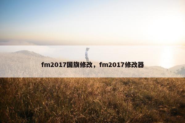 fm2017国旗修改，fm2017修改器