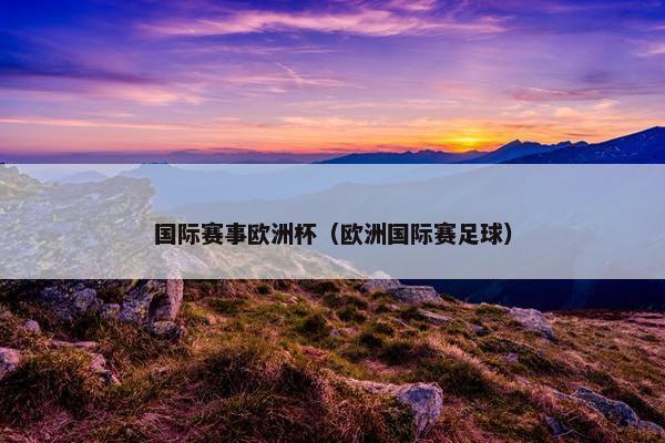 国际赛事欧洲杯（欧洲国际赛足球）