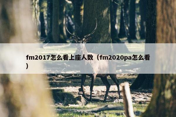 fm2017怎么看上座人数（fm2020pa怎么看）