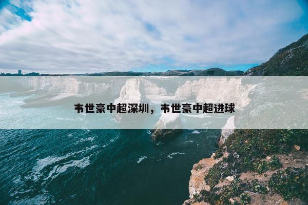 韦世豪中超深圳，韦世豪中超进球