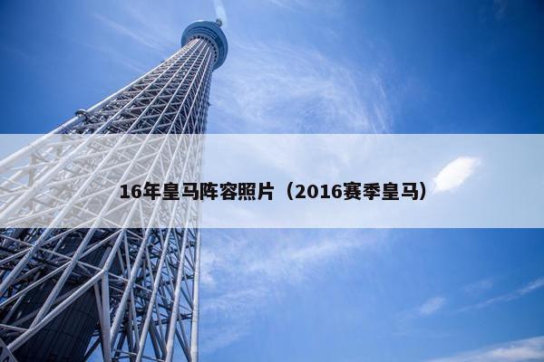 16年皇马阵容照片（2016赛季皇马）