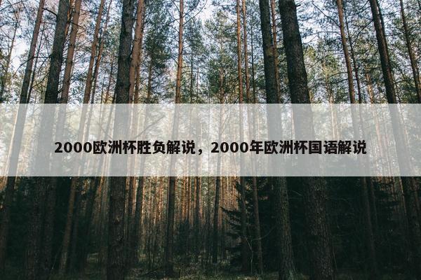 2000欧洲杯胜负解说，2000年欧洲杯国语解说