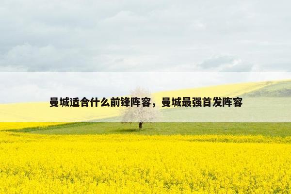 曼城适合什么前锋阵容，曼城最强首发阵容