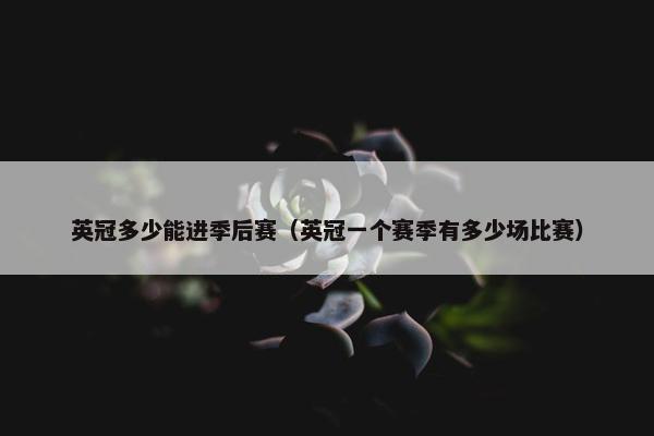 英冠多少能进季后赛（英冠一个赛季有多少场比赛）