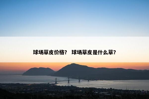 球场草皮价格? 球场草皮是什么草? 球场草皮价格? 球场草皮是什么草?