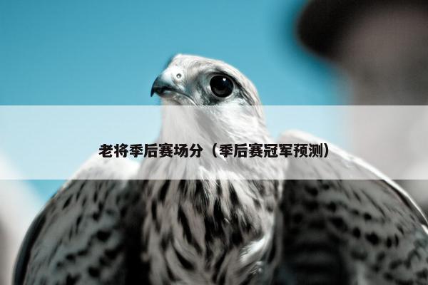 老将季后赛场分（季后赛冠军预测）