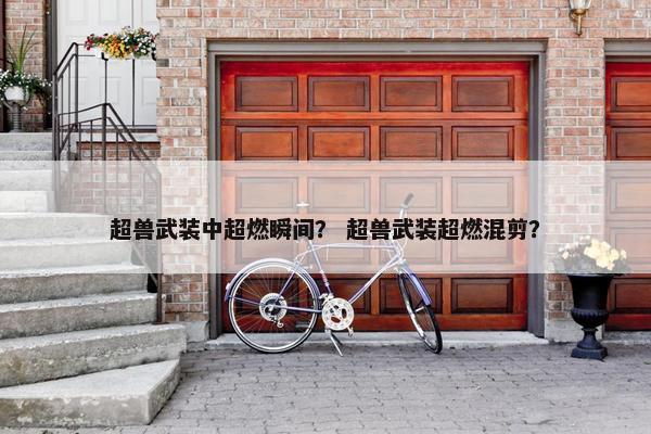 超兽武装中超燃瞬间？ 超兽武装超燃混剪？