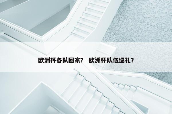 欧洲杯各队回家？ 欧洲杯队伍巡礼？