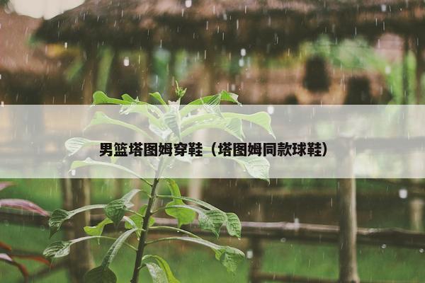 男篮塔图姆穿鞋（塔图姆同款球鞋）