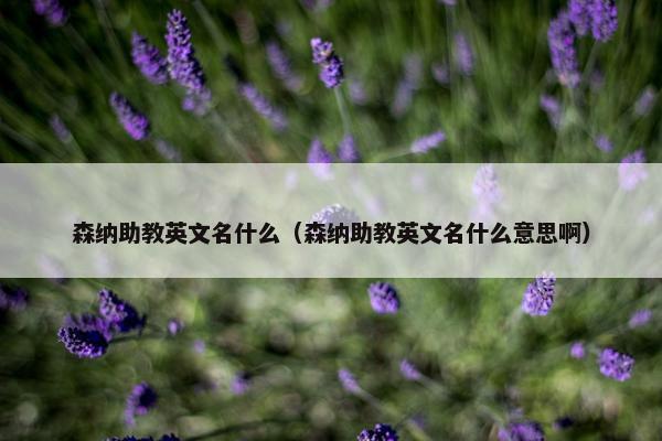 森纳助教英文名什么（森纳助教英文名什么意思啊）