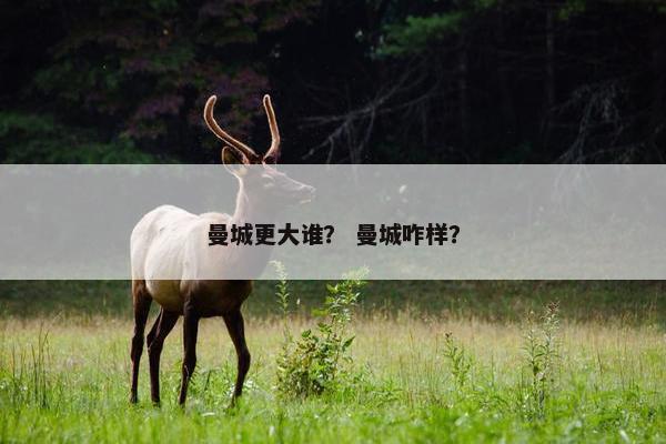 曼城更大谁？ 曼城咋样？