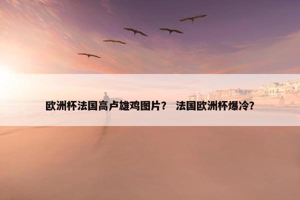 欧洲杯法国高卢雄鸡图片？ 法国欧洲杯爆冷？