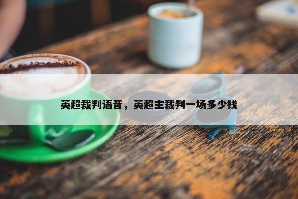 英超裁判语音，英超主裁判一场多少钱