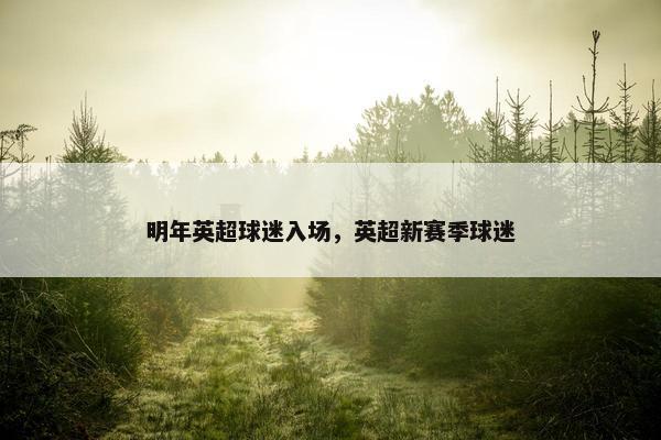 明年英超球迷入场，英超新赛季球迷