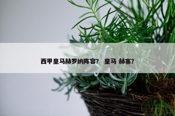 西甲皇马赫罗纳阵容？ 皇马 赫塞？