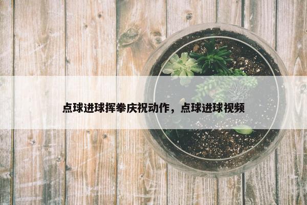 点球进球挥拳庆祝动作，点球进球视频
