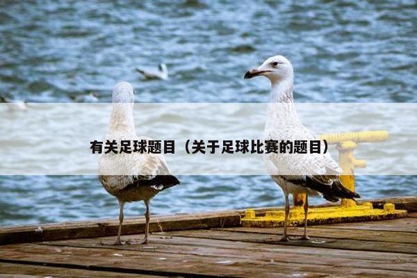 有关足球题目（关于足球比赛的题目）