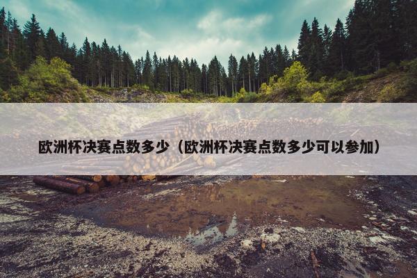 欧洲杯决赛点数多少（欧洲杯决赛点数多少可以参加）