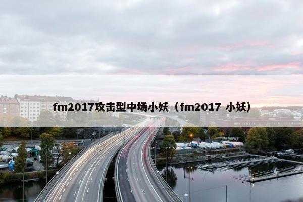 fm2017攻击型中场小妖（fm2017 小妖）