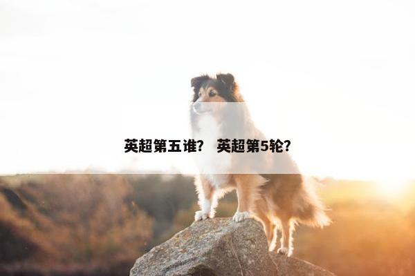 英超第五谁？ 英超第5轮？