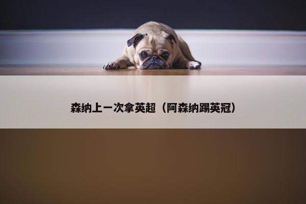 森纳上一次拿英超（阿森纳踢英冠）