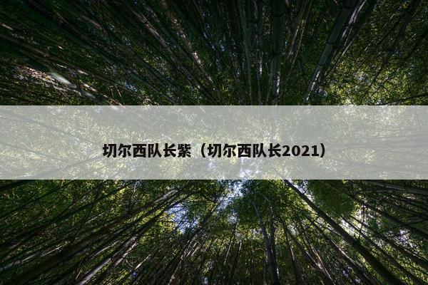 切尔西队长紫（切尔西队长2021）