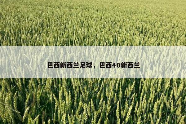 巴西新西兰足球，巴西40新西兰
