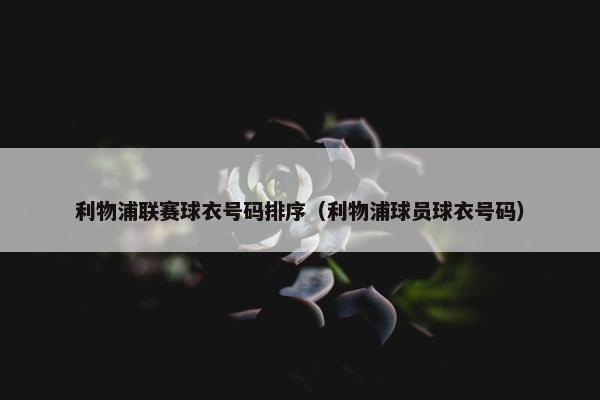 利物浦联赛球衣号码排序（利物浦球员球衣号码）