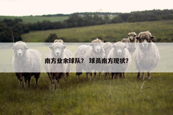 南方业余球队？ 球员南方现状？