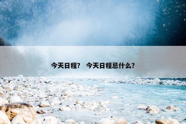 今天日程？ 今天日程忌什么？