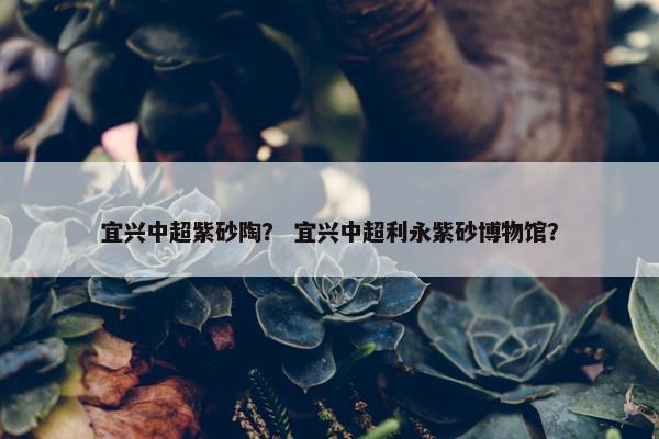 宜兴中超紫砂陶？ 宜兴中超利永紫砂博物馆？