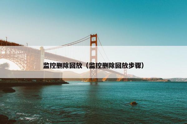 监控删除回放（监控删除回放步骤）
