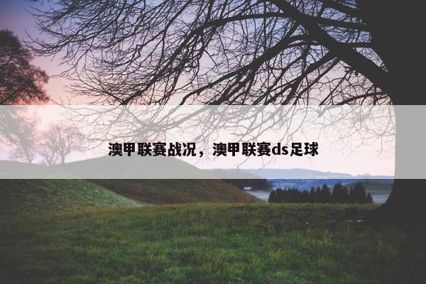 澳甲联赛战况，澳甲联赛ds足球