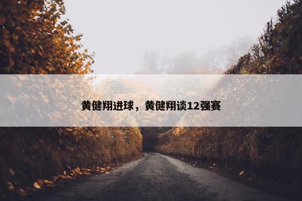黄健翔进球，黄健翔谈12强赛