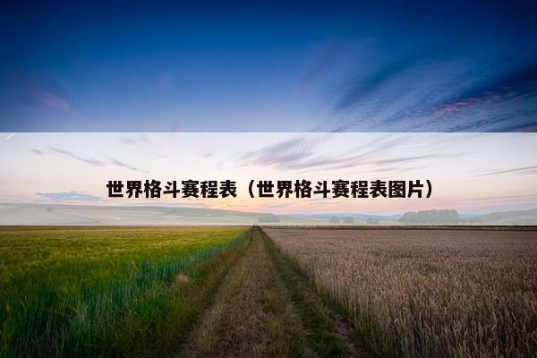 世界格斗赛程表（世界格斗赛程表图片）