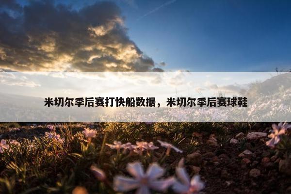 米切尔季后赛打快船数据，米切尔季后赛球鞋