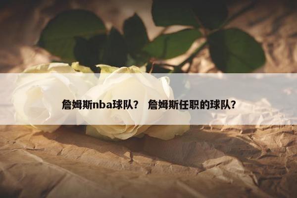 詹姆斯nba球队？ 詹姆斯任职的球队？