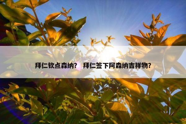 拜仁钦点森纳？ 拜仁签下阿森纳吉祥物？
