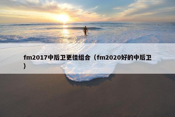 fm2017中后卫更佳组合（fm2020好的中后卫）