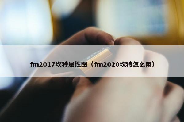 fm2017坎特属性图（fm2020坎特怎么用）