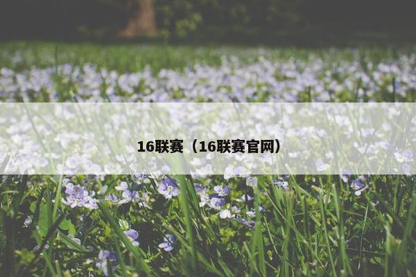 16联赛（16联赛官网）