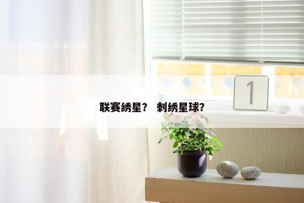 联赛绣星？ 刺绣星球？