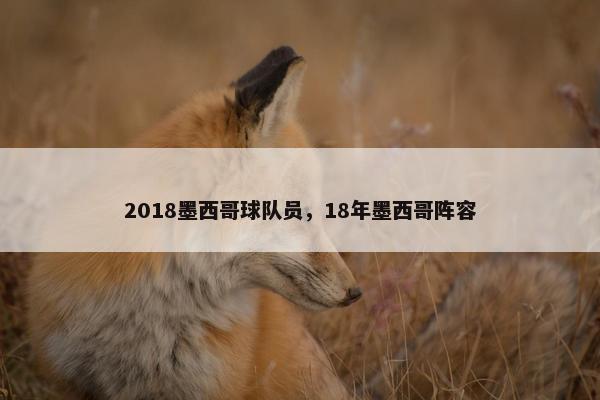 2018墨西哥球队员，18年墨西哥阵容