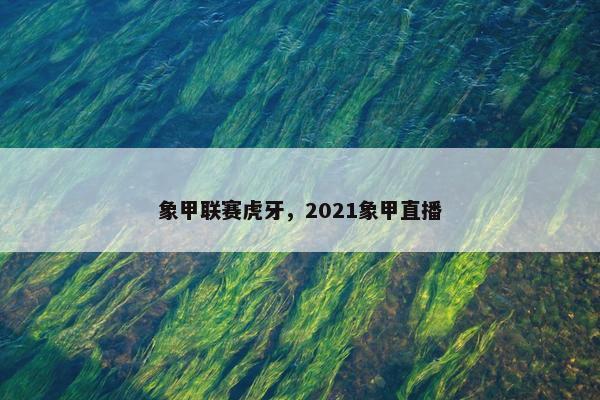 象甲联赛虎牙，2021象甲直播