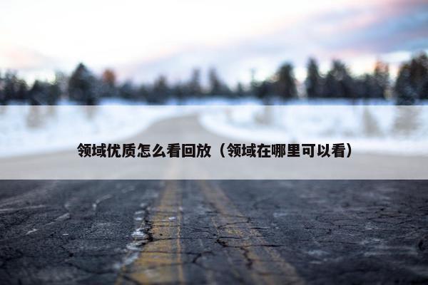 领域优质怎么看回放（领域在哪里可以看）