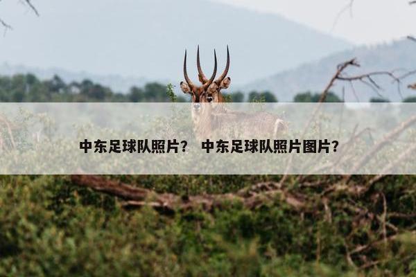 中东足球队照片？ 中东足球队照片图片？